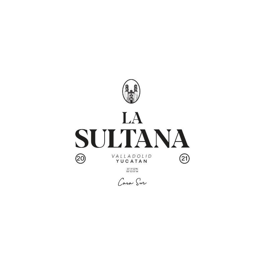 La Sultana: Amazing New House With Pool And Bikes Included. Villa Valladolid  Exterior photo